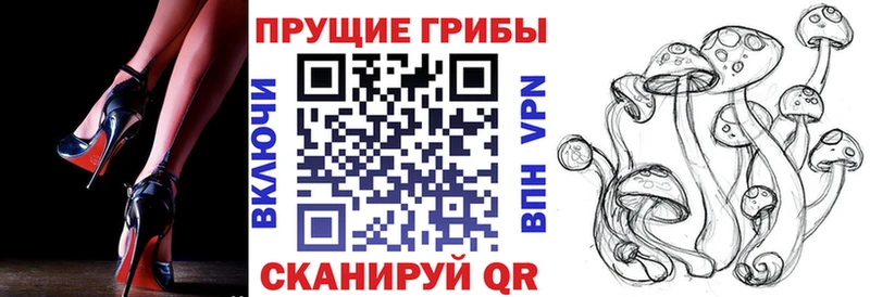 блэк спрут рабочий сайт  Асино  Галлюциногенные грибы прущие грибы 