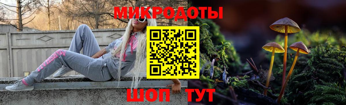 Асино  Псилоцибиновые грибы Psilocybe  Вход с VPN 