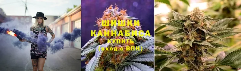 купить наркотики сайты  Асино  Бошки марихуана OG Kush 