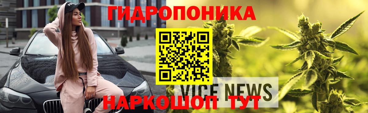 Галлюциногенные грибы Асино